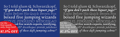 Newt Serif by Nathanael Bonnell. It’s 87½ % off now. The offer Ends April 24 at 1:00 PM.