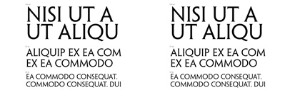 Petit Serif