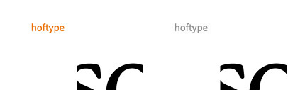 Hoftype