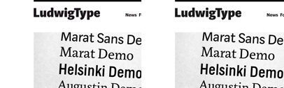 LudwigType