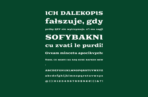 Slide5