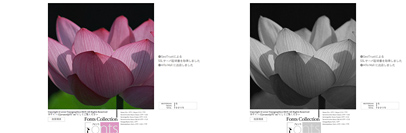 Typographics REN