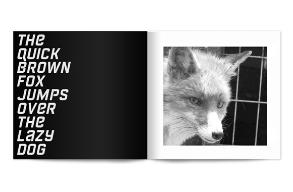 Slide2