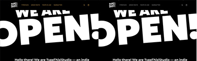 TypeThis!Studio