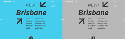 Leinster Type