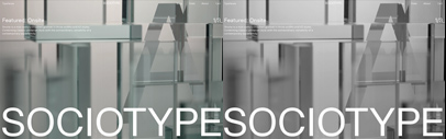 Sociotype