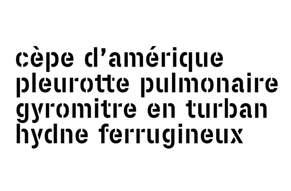 Slide3