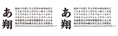 イワタ新楷書 (Iwata Shin-kaisho) by Iwata. It consists of イワタ新楷書H and イワタ新楷書HかなA (it includes different Japanese syllabic characters from the ones of イワタ新楷書H).