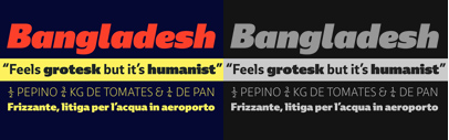 Ebony by @TypeTogether cleverly balances openness and legibility of humanist sans serifs with the taut and regularised style of grotesques. 9 weights with italics.