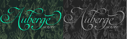 Auberge Script by @alepaul. 35% off until Mar 15.