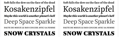 Brenta by @LudwigType. The entire family is €199.00 for a limited time.