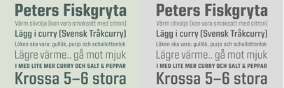 Rui Abreu & Göran Söderström completed Bruhn Sans in memory of Peter Bruhn who should have turned 46.