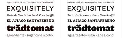 César Puertas structured his unique series into six styles with distinct but matching flavors: grotesque‚ rounded‚ slab-serif and transitional — all based on the same skeleton but with different finishing.