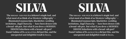 Silva Display & Silva Text by Daniel Sabino are available at Village.