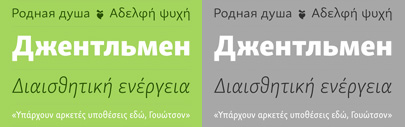Skolar Sans Pan-European by @rosettatype