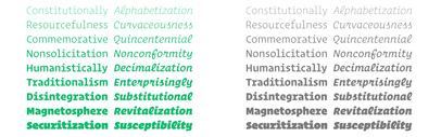 Operator and Operator Mono by @HoeflerCo