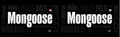 Mongoose‚ a narrow sans serif‚ comes with 6 weights + italics.