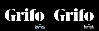 Grifo by @rui_abreu. It comes with 3 optical sizes and each of them has 5 weights + italics.