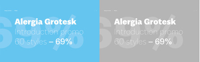 Alergia Grotesk by Borutta Group. 69% off until Jun 6.