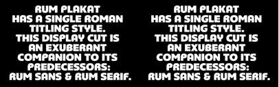 Rum Plakat designed by Trine Rask