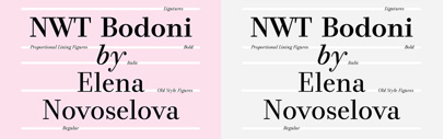 NWT Bodoni by Elena Novoselova