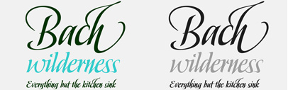Slapjack‚ a broad-edged calligraphic script‚ by Stephen Rapp. It is designed to set well in all caps adding to its versatility‚ too. Introductory offer 30% off till February 17th.