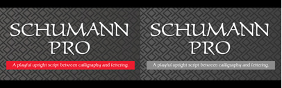 @P22TypeFoundry released P22 Schumann Pro.