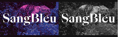 @swisstypefaces released SangBleu.