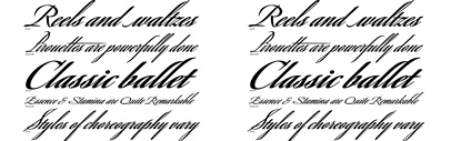 Savanna Script‚ comes with three weights‚ designed by Richard Lipton.