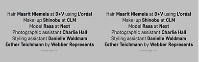 Transcript has been updated to include 5 weights and 14 styles.