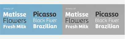 Amelia: a contemporary sans serif by TipoType. The family is only for $39.89 instead of $249.00 now.