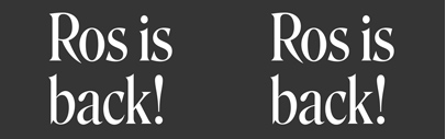 May’s fonts of Font of the Month Club are new styles of Roslindale: two Condensed Display weights‚ Light and Regular‚ as well as a Bold companion to the text weights.