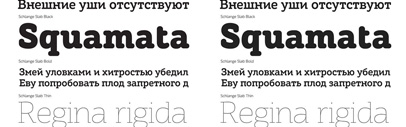 Schlange Sans and Schlange Slab‚ rounded typefaces‚ by Art. Lebedev Studio