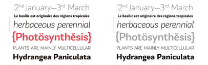 Nova Type Foundry released Laca Text.