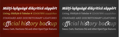 Directa Serif‚ a text type family designed to save space with the maximum readability‚ by Outras Fontes. It’s 80% off till Apr 5!