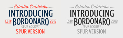 Estudio Calderon Bordonaro Spur‚ Bordonaro Script’s companion.