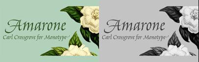 Monotype released Amarone designed by Carl Crossgrove.