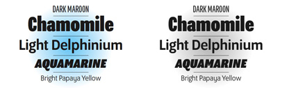 Emigre’s new typeface‚ Program‚ by Zuzana Licko. It’s a blunt-cornered sans serif with regular and narrow versions.