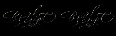 Bird Script‚ a new script by Lián Types