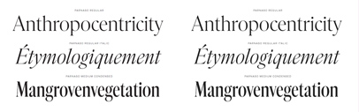 Feliciano Type Foundry released Parnaso.
