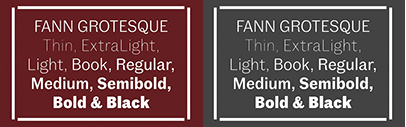 Colophon Foundry released Fann Grotesque.