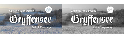 Gryffensee‚ which is designed to be the Futura of blackletter‚ by Christian Thalmann. Introductory offer 25% off till May 17th.