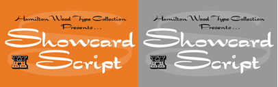 P22 released HWT Showcard Script.