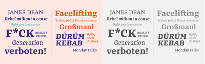 Preto Serif by DizajnDesign. Introductory offer 50% off till June 14th.