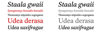 Castoro is available under SIL Open Font License Version 1.1.