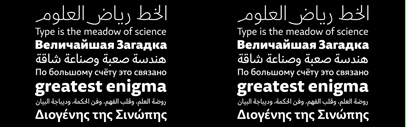 29LT Zarid Sans now supports Cyrillic and Greek.
