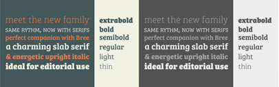 Bree Serif‚ a companion to Bree‚ by Type Together