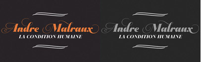 Aparo‚ a bold‚ italic and display serif‚ by DSType.