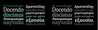 Paratype released Hyperon designed by Natalia Vasilyeva.