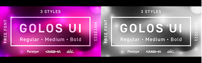 Paratype released Golos UI.
